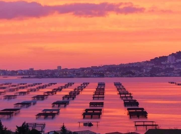 Bel Appartement Centre Ville Sète Esterno foto